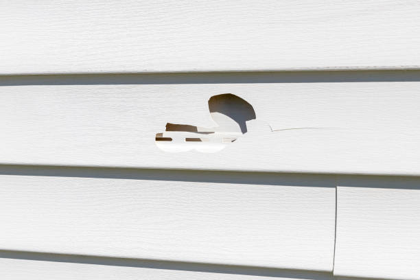  Filer, ID Junk Removal Pros